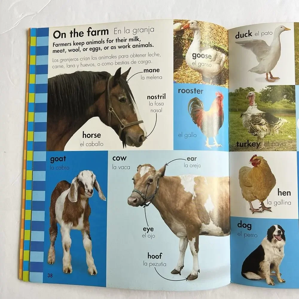 My First English Spanish Dictionary Mi Primer Diccionario Ingles Espanol 2013